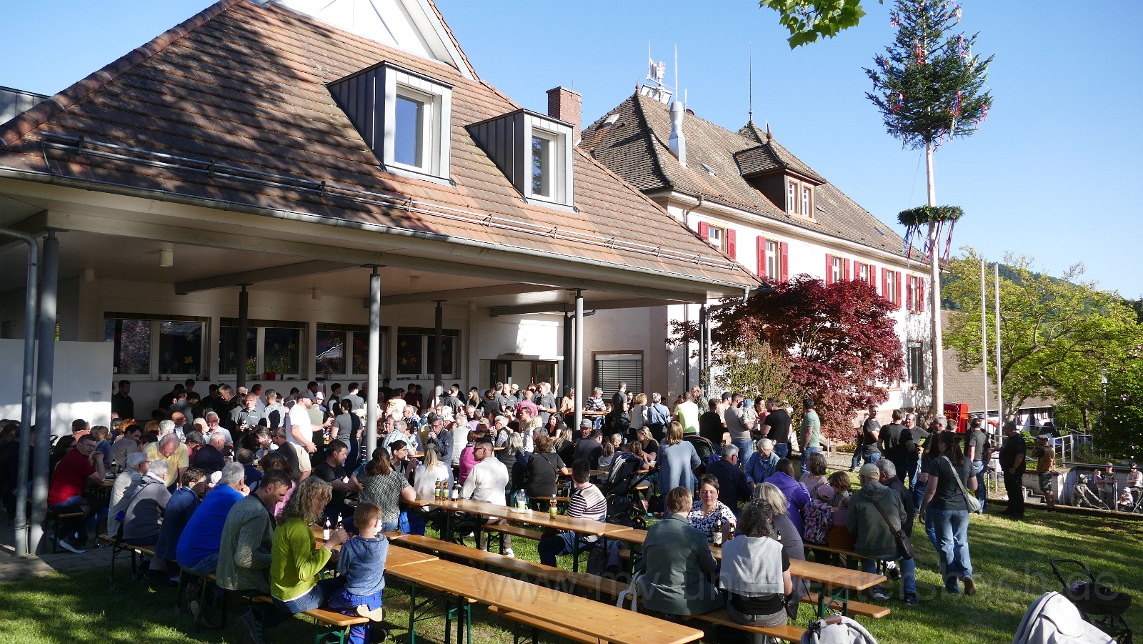 2026-04 Maibaum stellen Unterentersbach (16).JPG